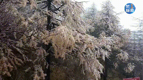 紧急响应III！咸阳，宝鸡，铜川......陕西有更多的降雪！西安雪......