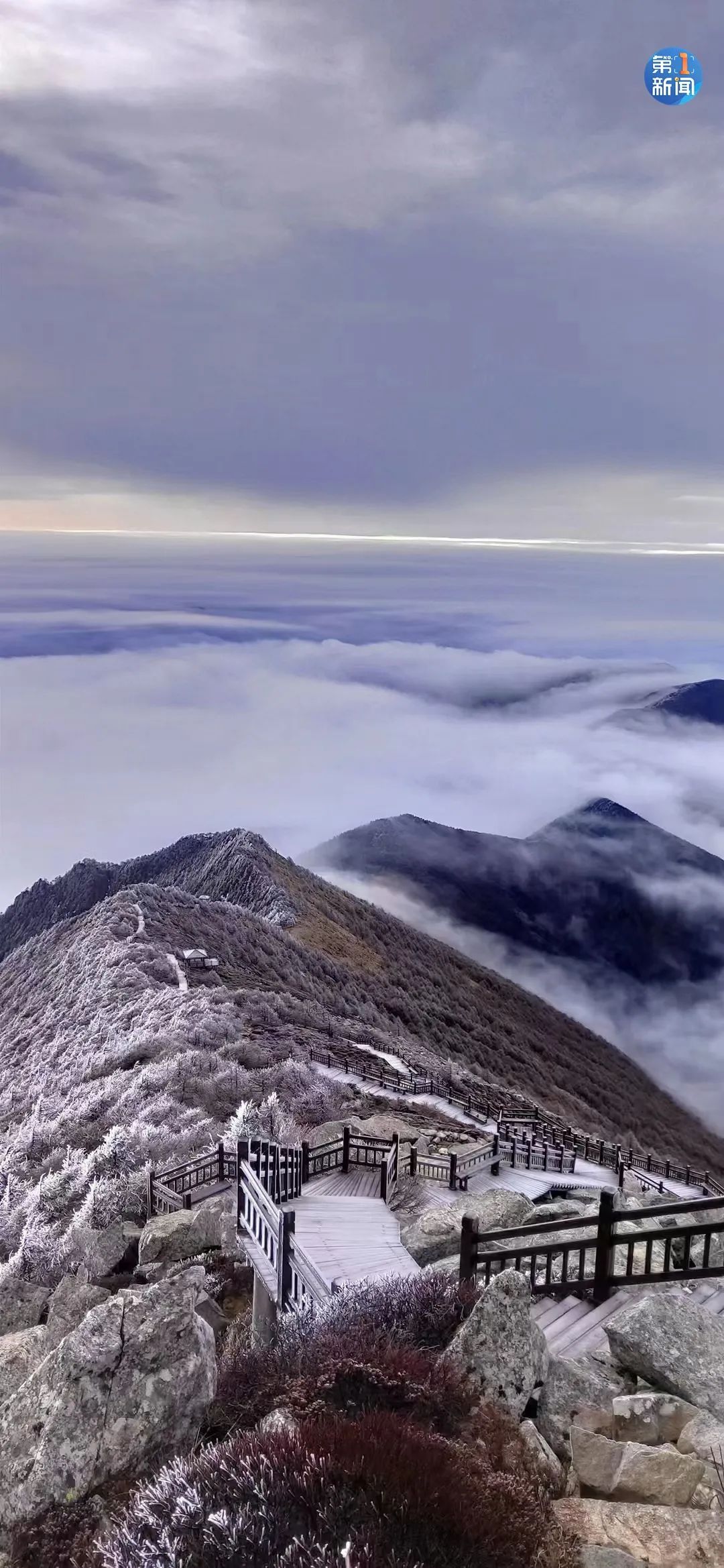 紧急响应III！咸阳，宝鸡，铜川......陕西有更多的降雪！西安雪......
