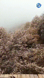 紧急响应III！咸阳，宝鸡，铜川......陕西有更多的降雪！西安雪......