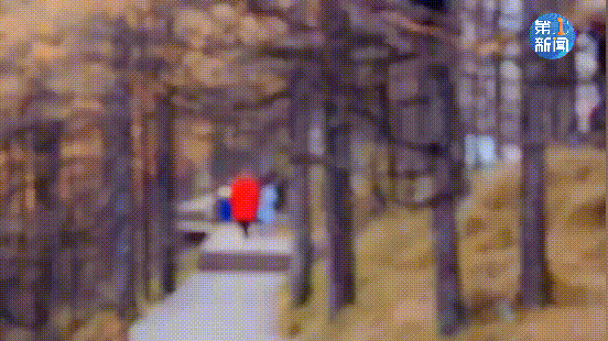 紧急响应III！咸阳，宝鸡，铜川......陕西有更多的降雪！西安雪......