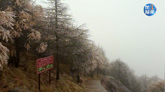 紧急响应III！咸阳，宝鸡，铜川......陕西有更多的降雪！西安雪......
