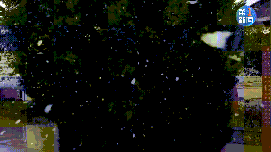 紧急响应III！咸阳，宝鸡，铜川......陕西有更多的降雪！西安雪......