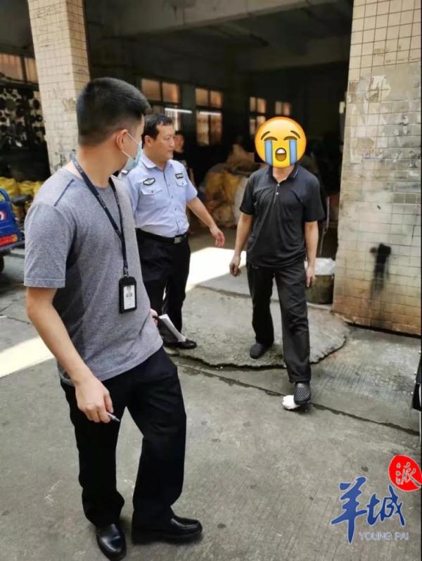 中山市汽车违章查询,中山车辆违章查询