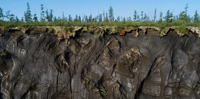 MakerDAO创始人万字长文：提出“人马座引擎”经济系统，DAI最终成为“清洁货币”