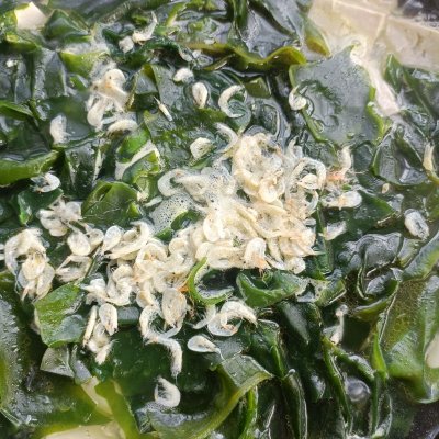 裙帶菜的做法,裙帶菜的做法大全 裙帶菜的家常做法