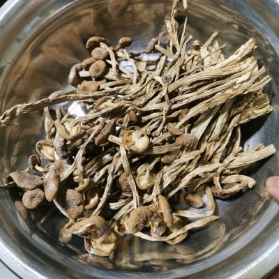 茶树菇的做法,茶树菇的做法大全家常菜