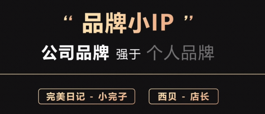 IP和品牌矩阵搭建指南，请转发给操盘手