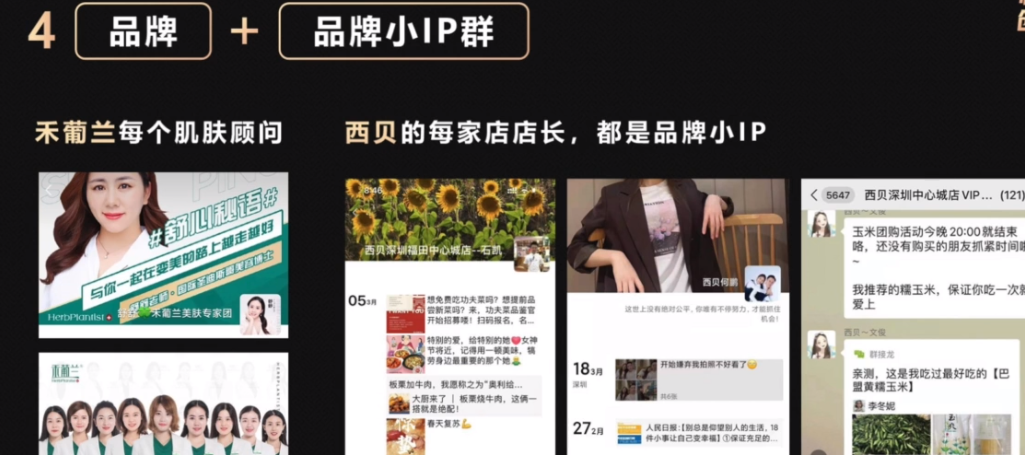 IP和品牌矩阵搭建指南，请转发给操盘手