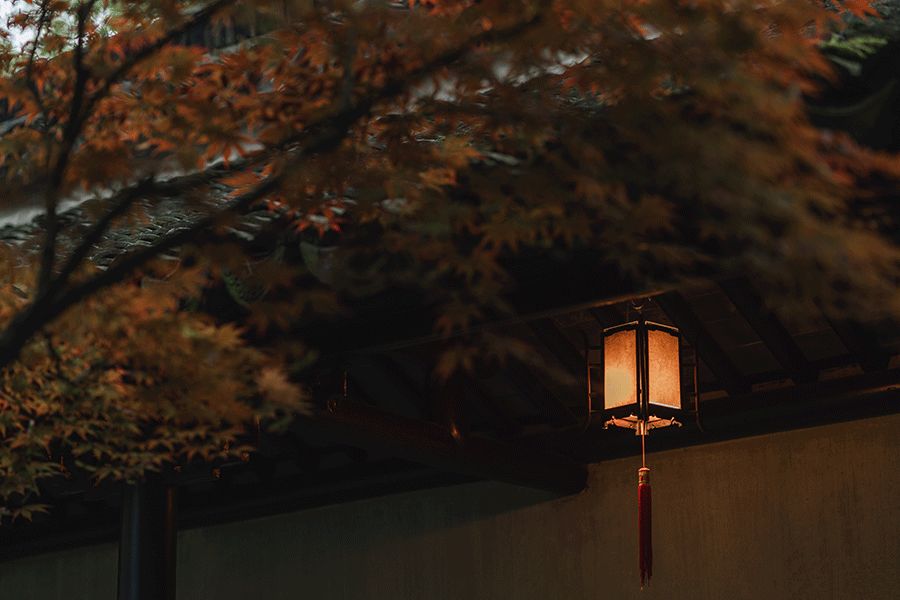 夜读｜重阳：来日并不方长，思念地久天长