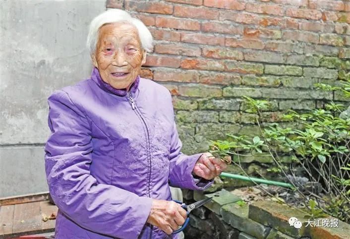 汤沟皖枞学校学生死亡（网络中国节）