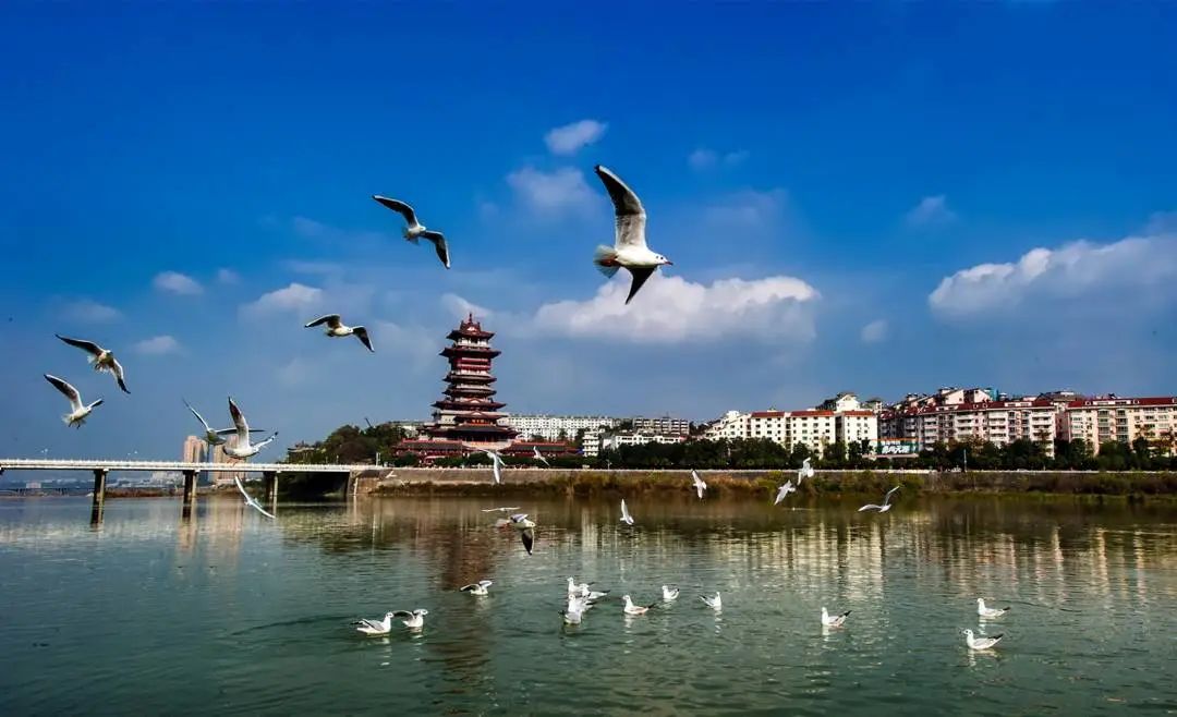 绵阳市周边旅游景点(好吃好耍还能免费) - 悦闻天下