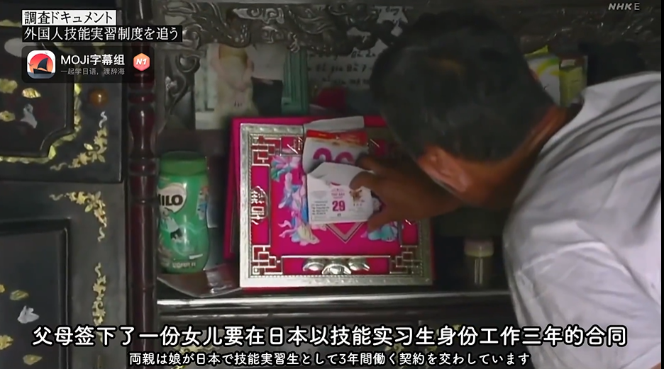在日本偷猪的越南人：“对于我们来说，日本就是梦想”