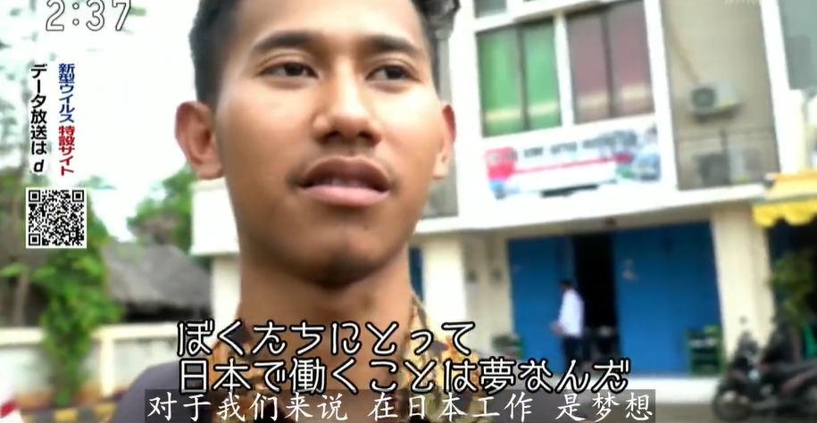 在日本偷猪的越南人：“对于我们来说，日本就是梦想”