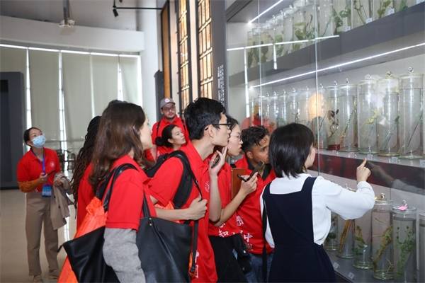外国留学生遇上“金木水火土”？他们在中医药博物馆和浦东新农村感知中国