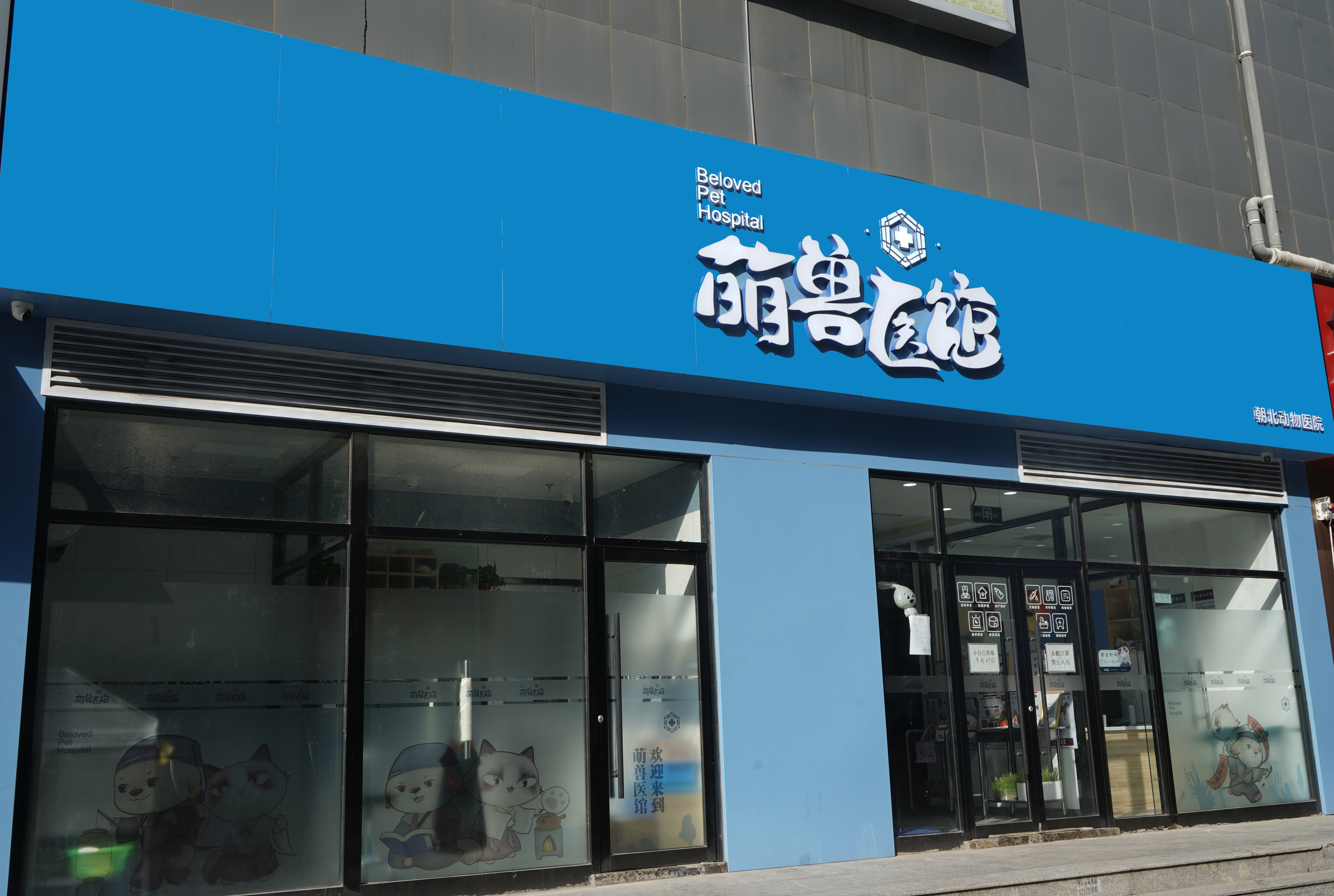 萌兽医馆徐超延长宠物与人相伴的时间