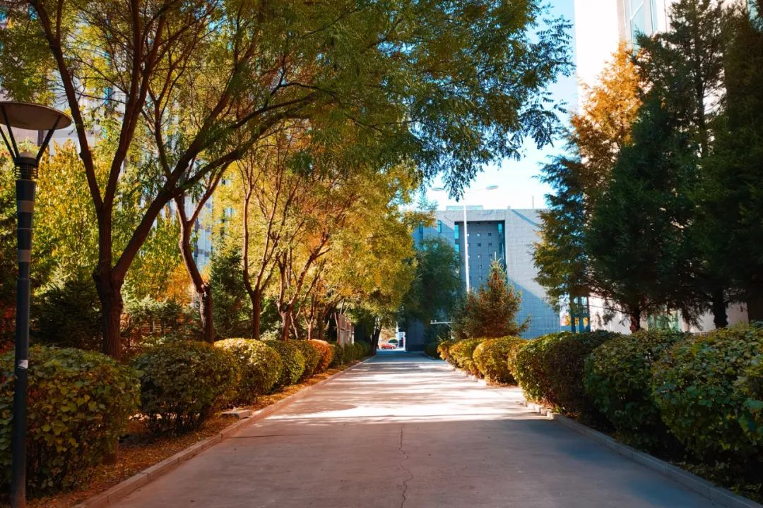 你在我眼中是最美～寻找呼和浩特最美校园