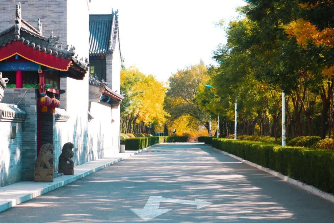 你在我眼中是最美～寻找呼和浩特最美校园