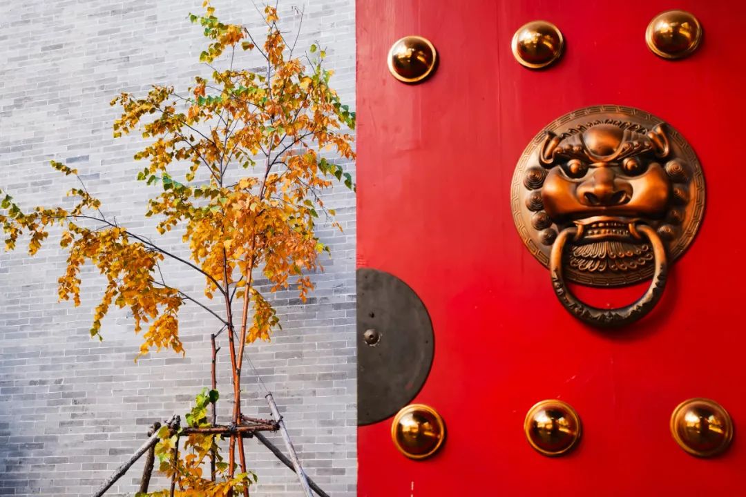 你在我眼中是最美～寻找呼和浩特最美校园