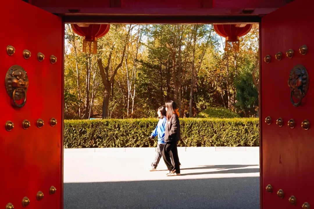 你在我眼中是最美～寻找呼和浩特最美校园