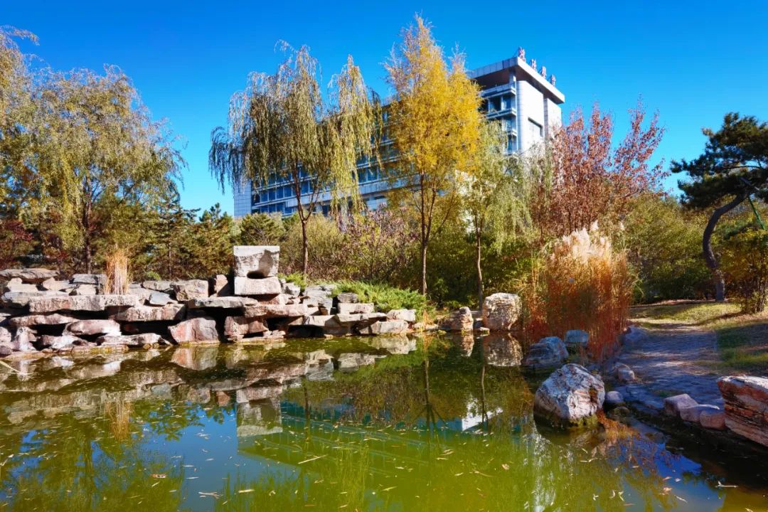 你在我眼中是最美～寻找呼和浩特最美校园