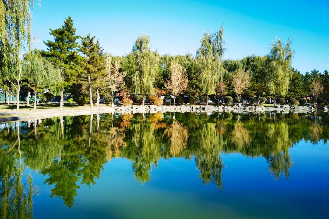 你在我眼中是最美～寻找呼和浩特最美校园