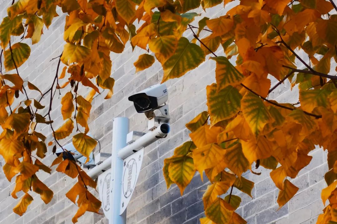 你在我眼中是最美～寻找呼和浩特最美校园