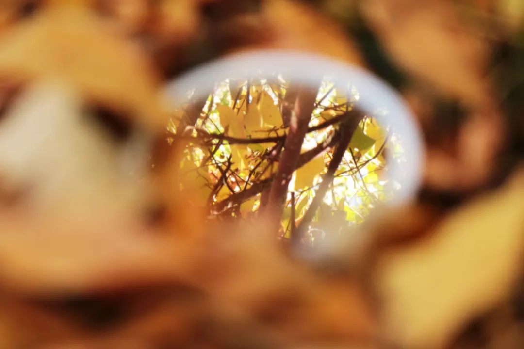 你在我眼中是最美～寻找呼和浩特最美校园