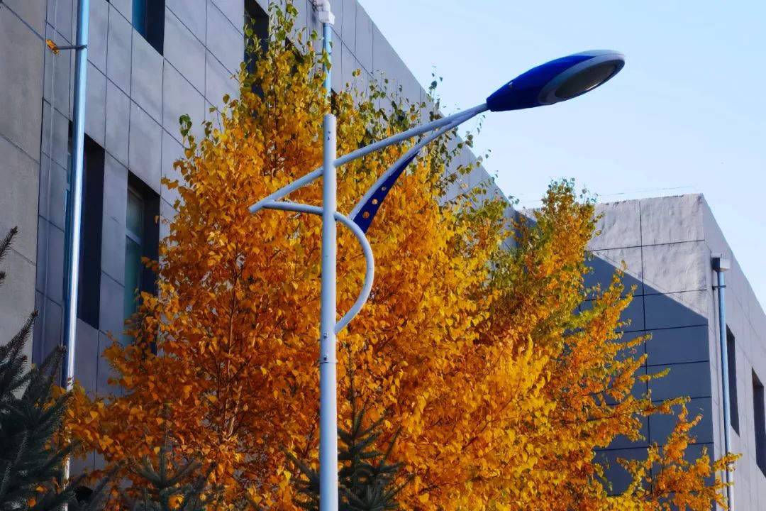 你在我眼中是最美～寻找呼和浩特最美校园