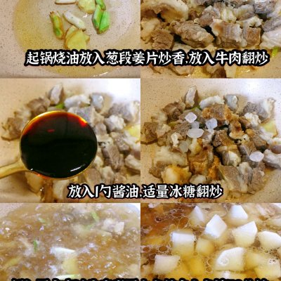 萝卜炖牛肉的家常做法步骤（家常版牛肉炖萝卜全家都爱吃）