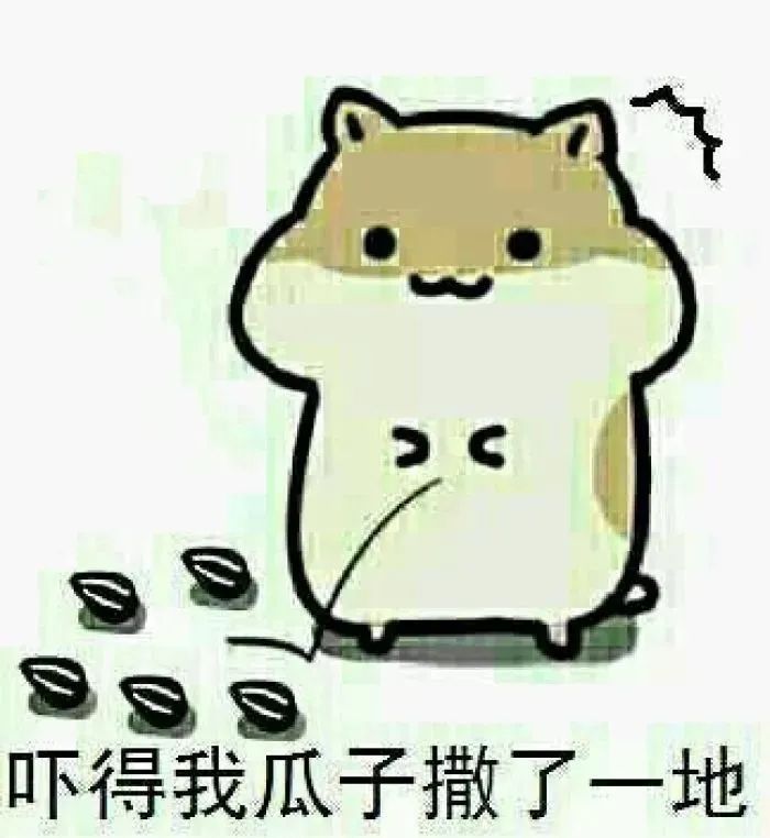 葵花籽仁,葵花籽仁的功效與作用及禁忌