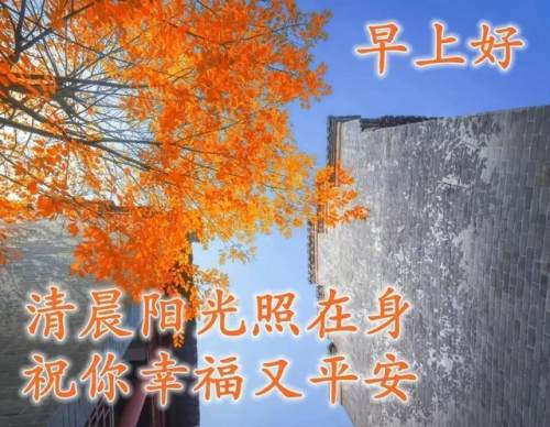 清晨美好正能量励志语录，清新带字图片安康问候祝福图片大全