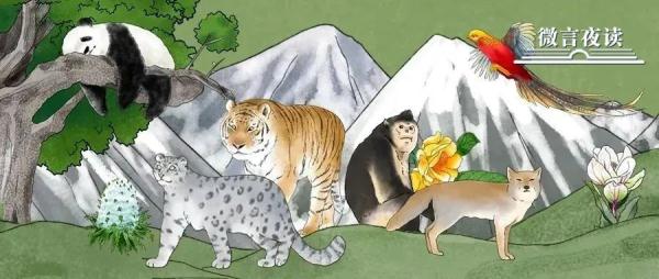我國有哪些珍稀動物,我國有哪些珍稀動物生活在哪里