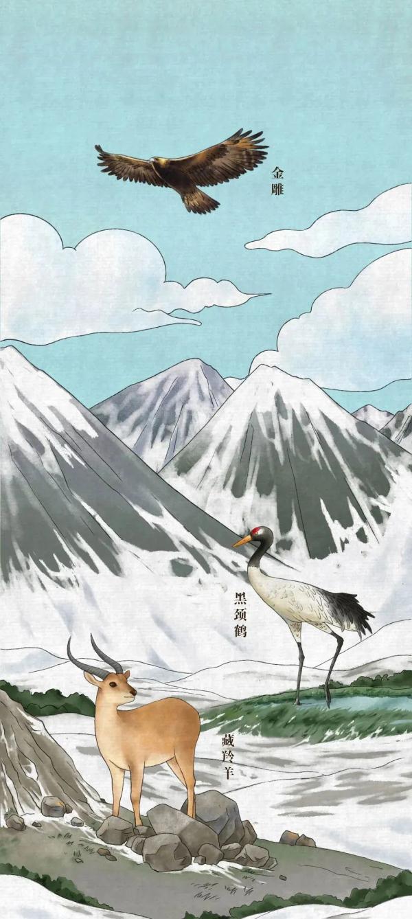 我國有哪些珍稀動物,我國有哪些珍稀動物生活在哪里