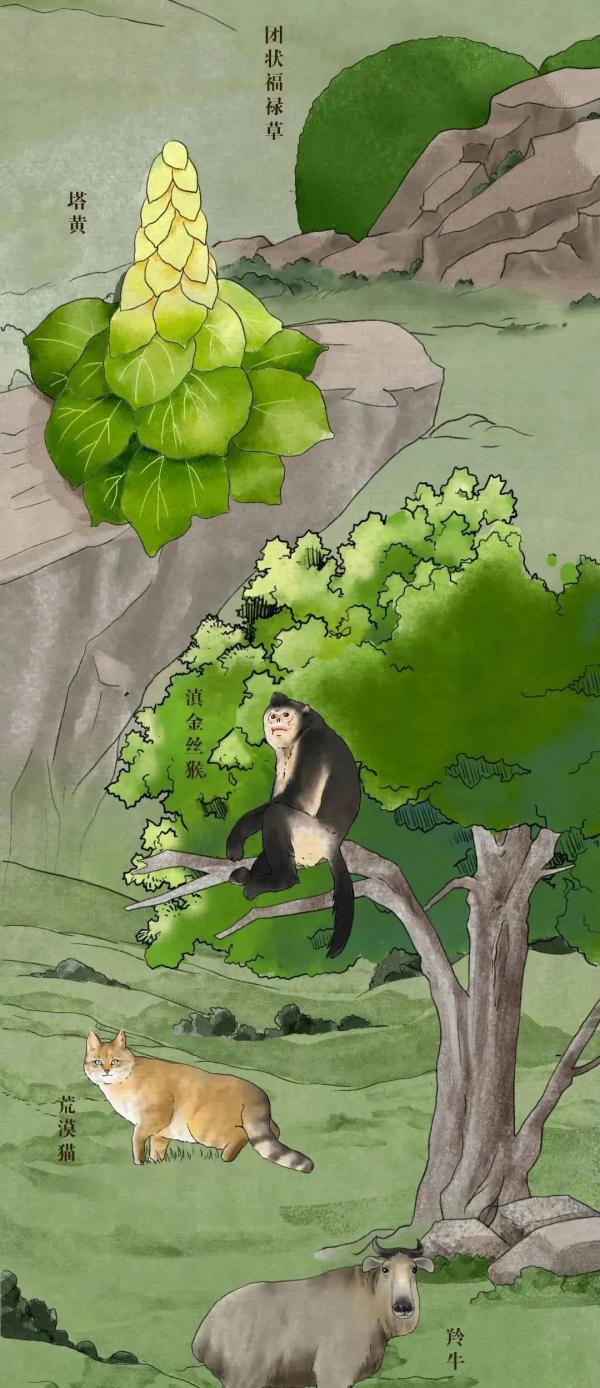 我國有哪些珍稀動物,我國有哪些珍稀動物生活在哪里