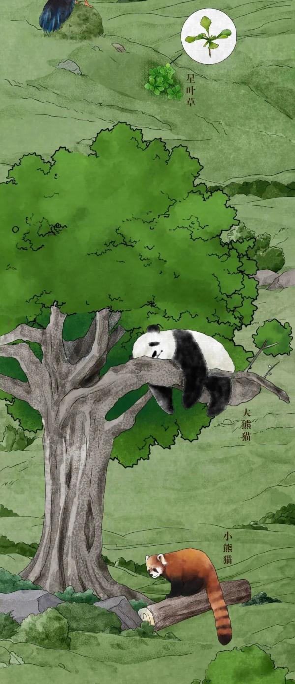 我國有哪些珍稀動物,我國有哪些珍稀動物生活在哪里