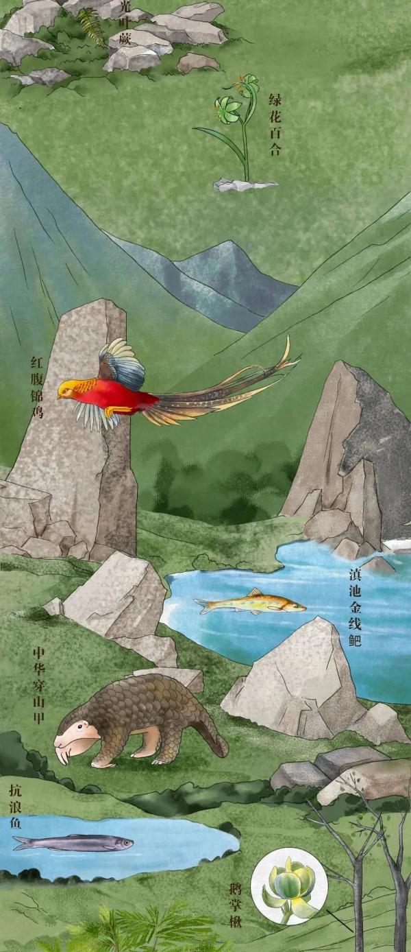 我國有哪些珍稀動物,我國有哪些珍稀動物生活在哪里