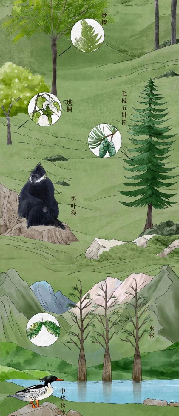 我國有哪些珍稀動物,我國有哪些珍稀動物生活在哪里