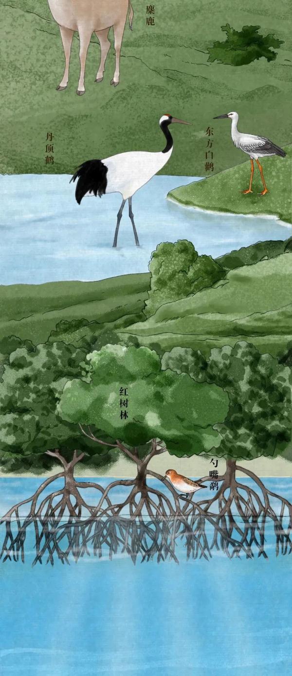 我國有哪些珍稀動物,我國有哪些珍稀動物生活在哪里