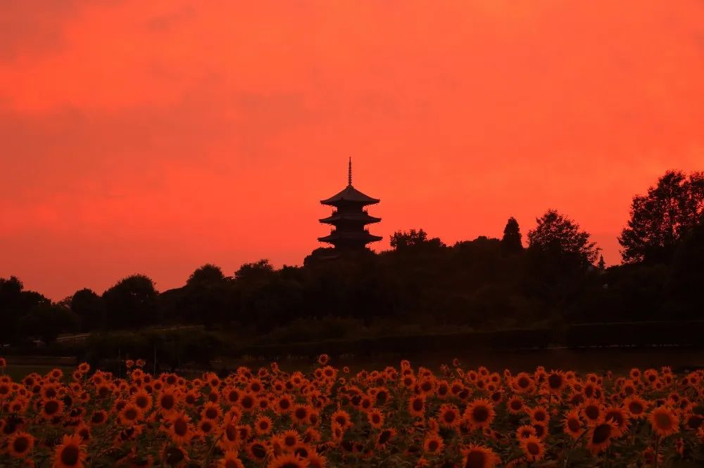 日本十佳日落观赏地，随手一拍都是风景大片