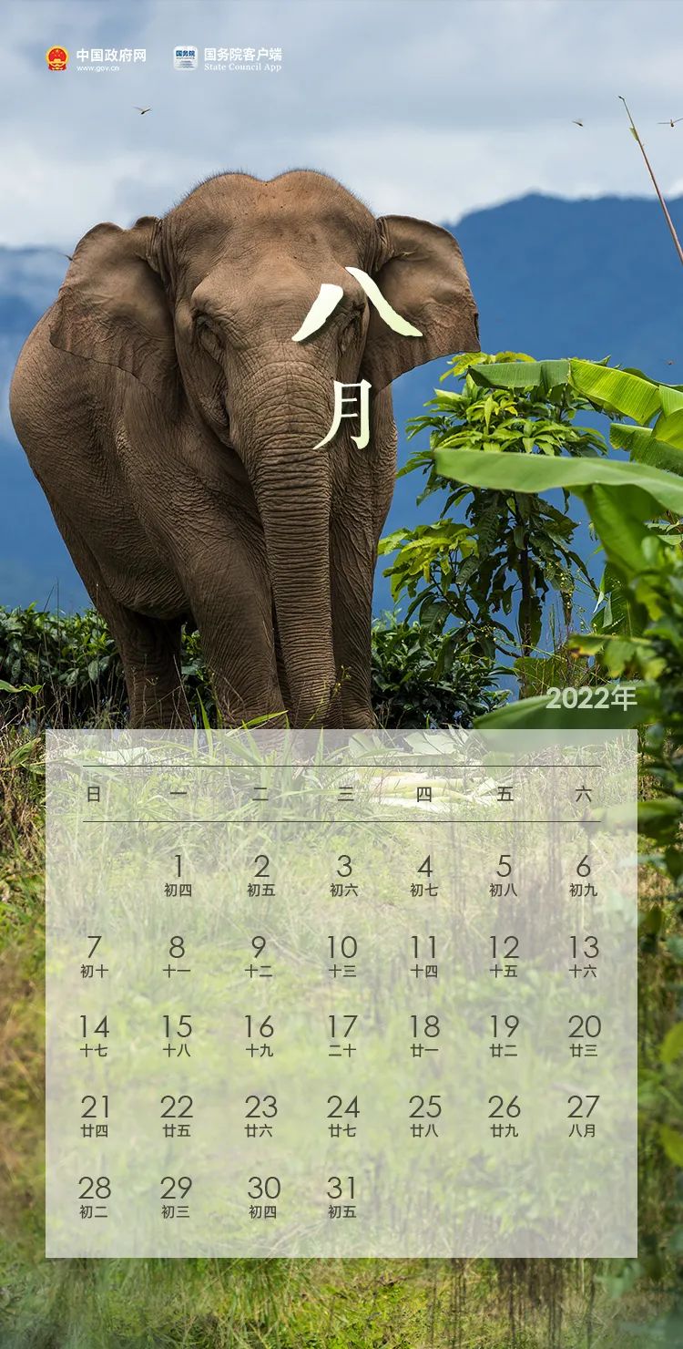 五一连休5天！2022年放假安排来了！→