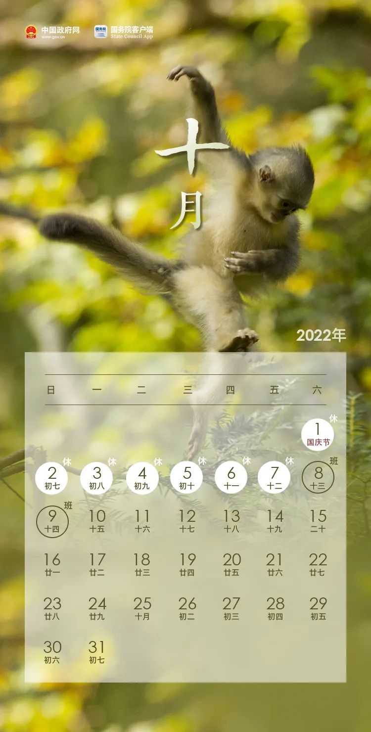 五一连休5天！2022年放假安排来了！→