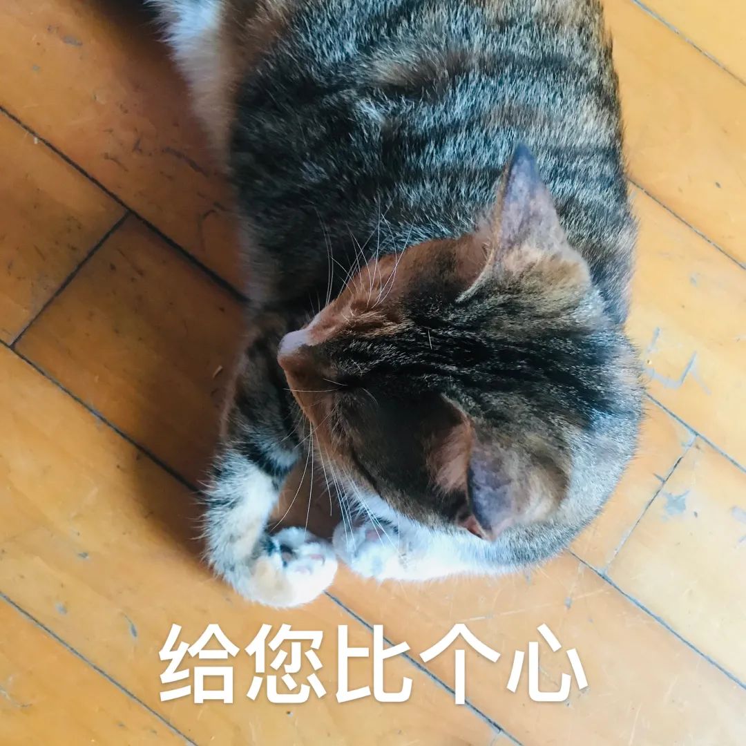 沈阳购房,沈阳购房资格最新政策2022