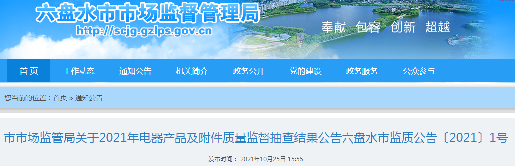 贵州省六盘水市2021年电器产品及附件质量监督抽查结果