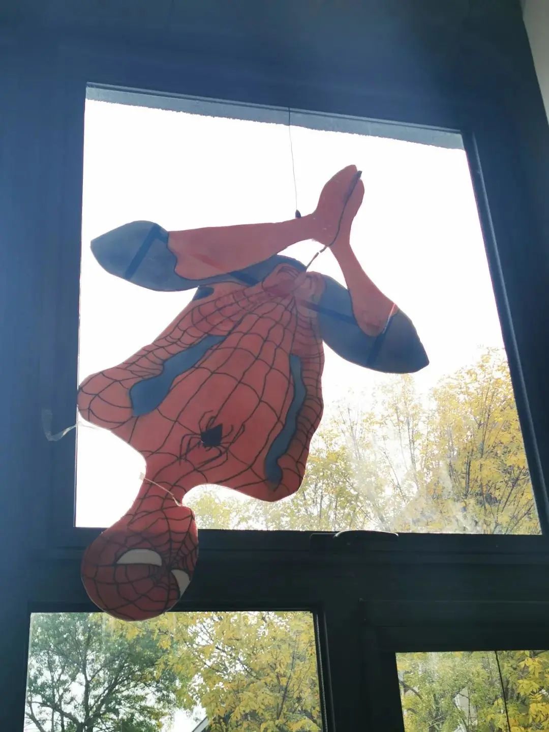 作业还可以这样做？天津大学“沉浸式作业”秀出创意无限！