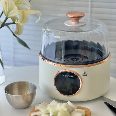 冬瓜丸子湯的做法,冬瓜丸子湯的做法視頻