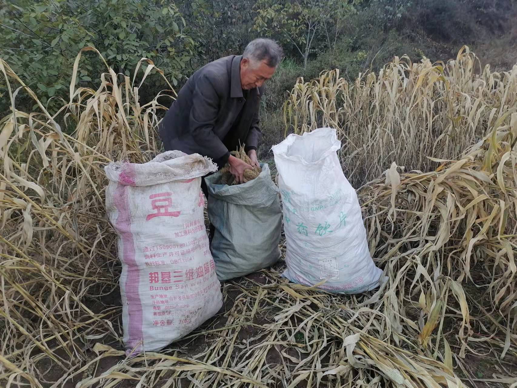 爆裂无声：半生矿工遇暴雨