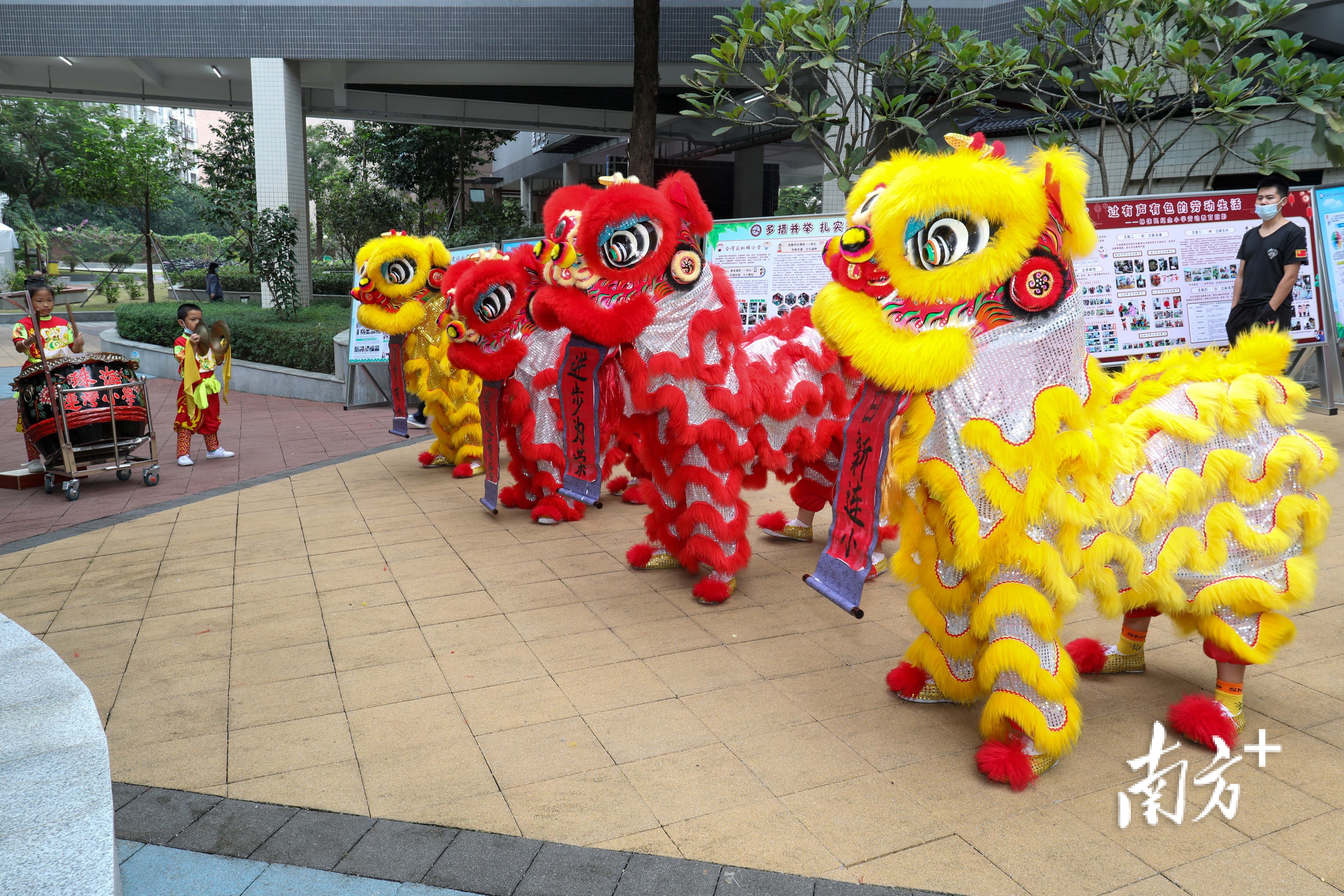 图集｜美！珠海中小学劳动作品描绘“劳动之美”