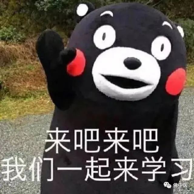 【男性健康日】3款靓汤,助男士们补肝肾、益气血