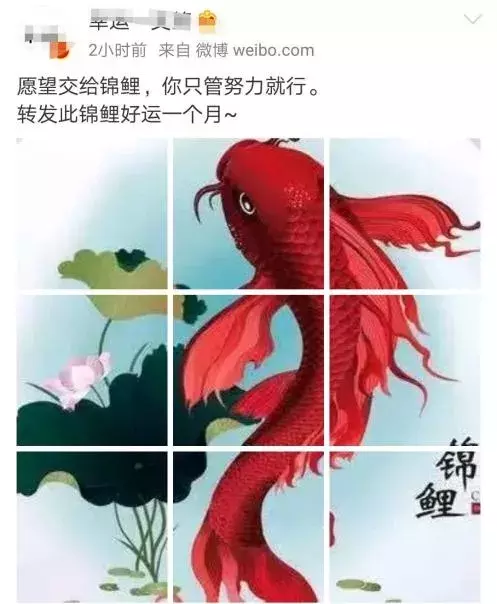 2018十大流行词盘点，你最常用的是哪个？