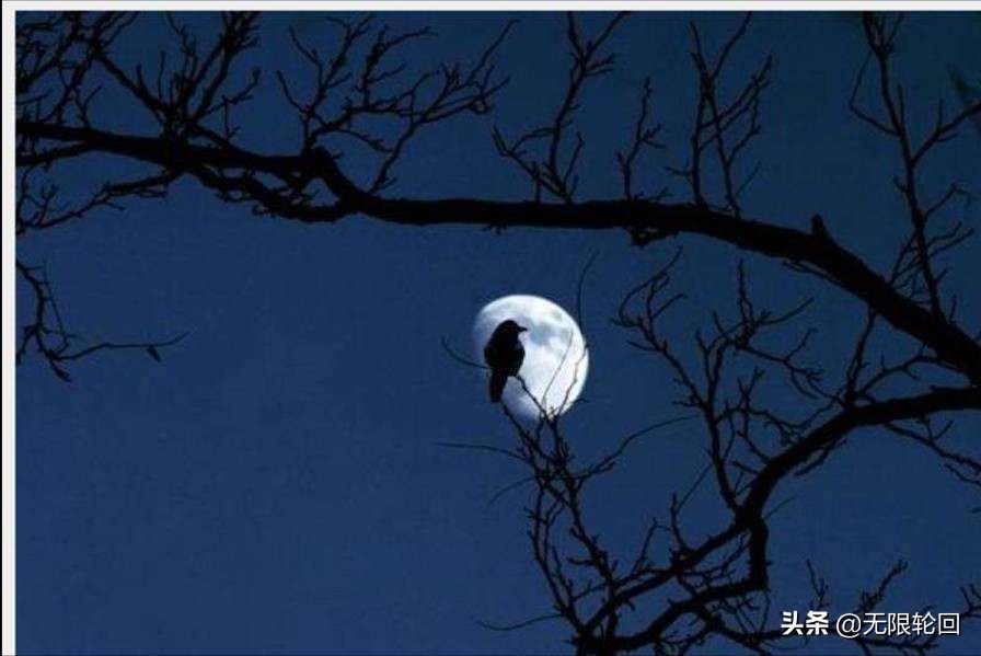 10首最优美的子规诗词：背井离乡的你，想家时最好的安慰